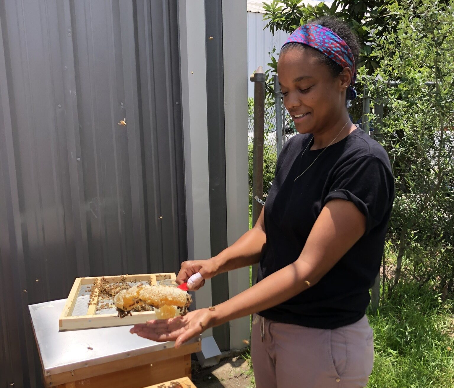 HARC’s urban beekeeper, Sierra Littlejohn with Alveole, helps to maintain and monitor our honeybees and their hives. 